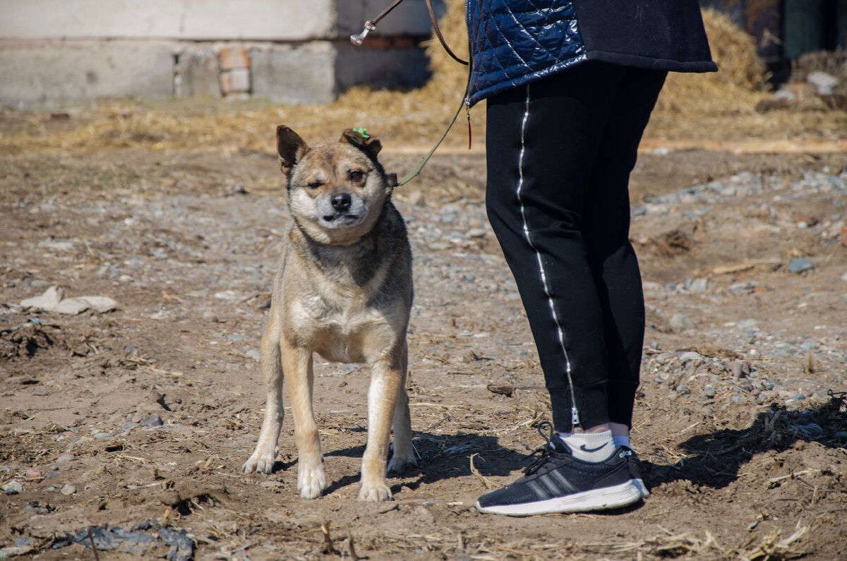 Грэг не любит фотографироваться и демонстрирует свою своеобразную мимику даже при виде фотоаппарата в руках.