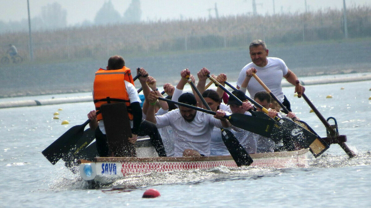     В Ростове-на-Дону собираются отремонтировать базу гребного канала «Дон» площадью 2,87 тысячи квадратных метров, сведения об этом появились на портале ГИС ЕГРЗ.