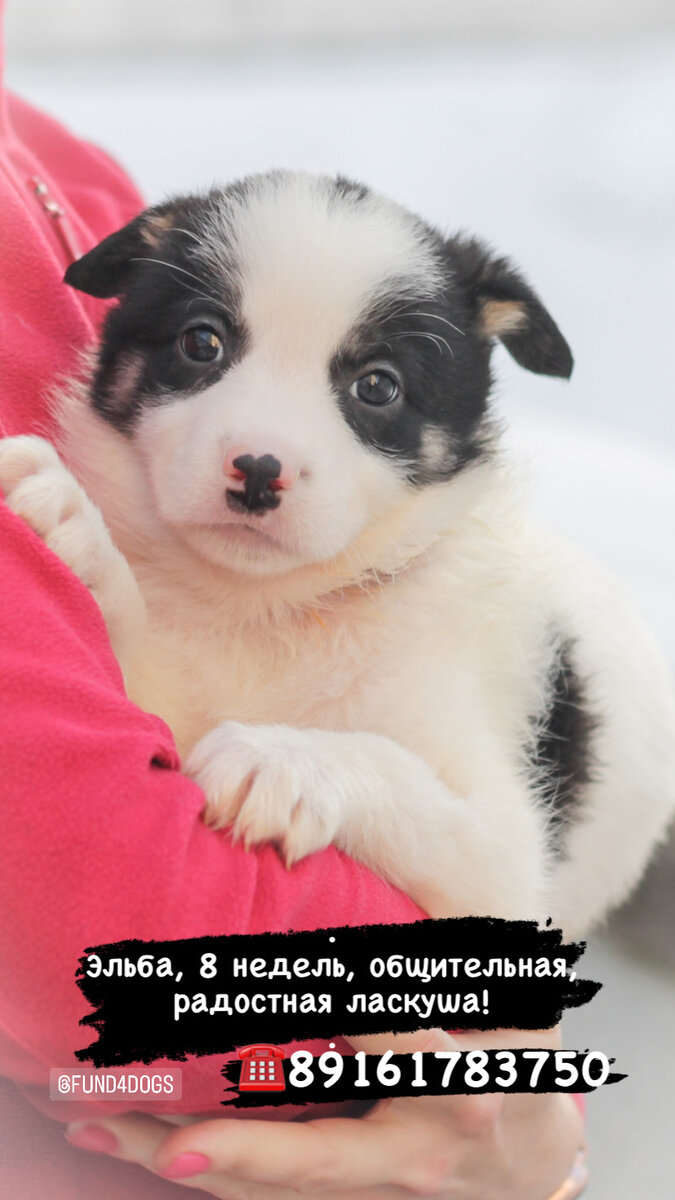 Фото-собственность канала