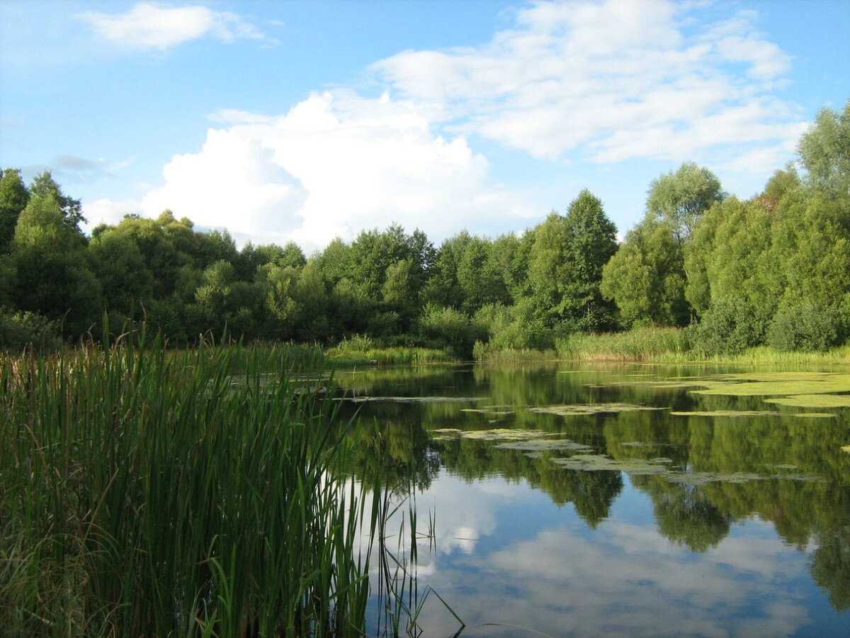 Озеро в нашем селе. Фото из личного архива.