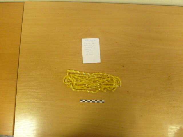 Фото: пресс-служба Калининградской областной таможни