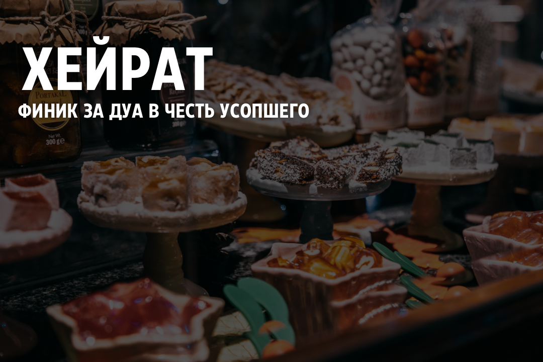 Фото взято из открытого фотостока Canva