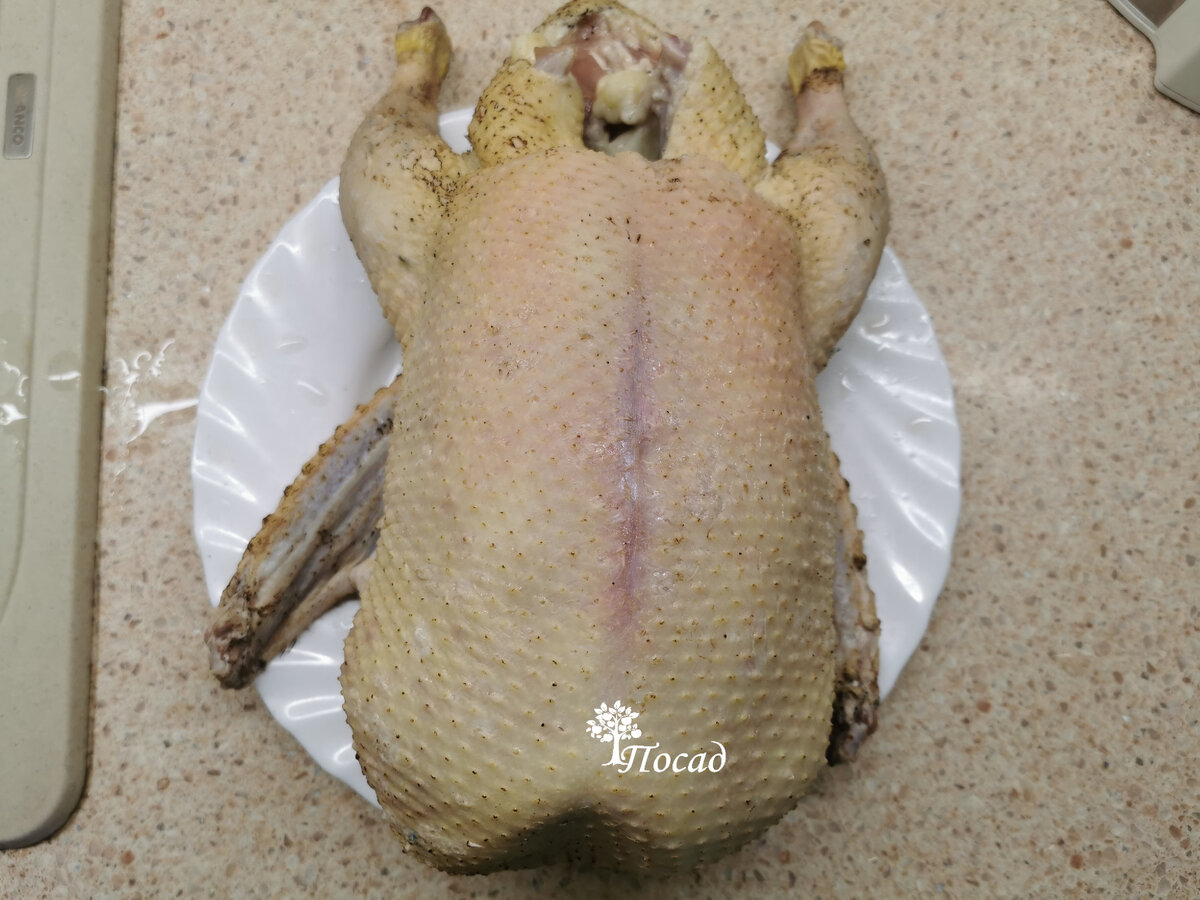 У меня уточка домашняя. Я тщательно выбрала все "стопки", но, как оказалось, на спинке кое-что осталось.