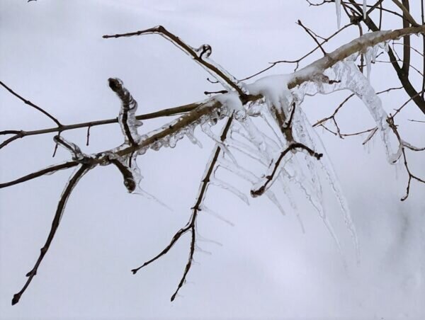    Фото: Екатерина Иванова. UG.RU