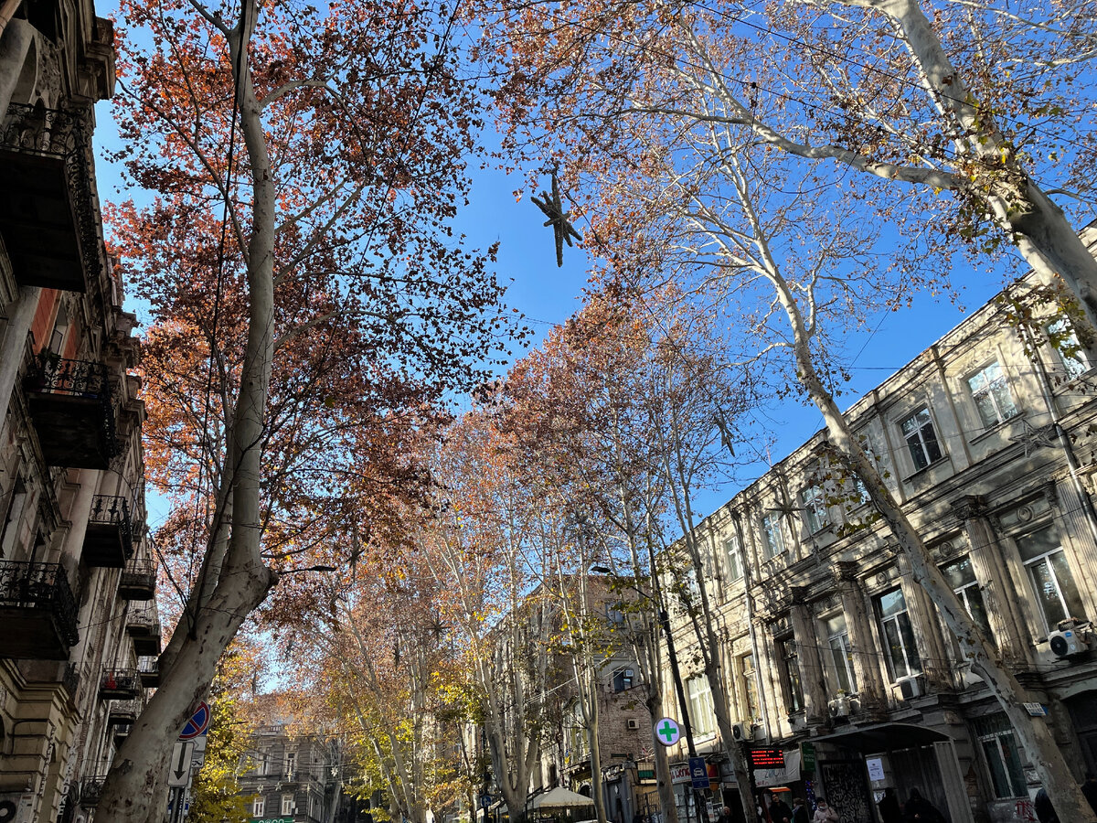 "Осенний" декабрь