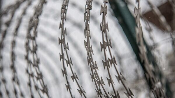   © photo: Sputnik / Stringer