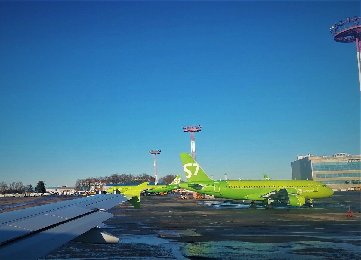 Авиакомпания S7 Airlines и аэропорт Домодедово - отзыв клиента | ИСКРА |  Дзен