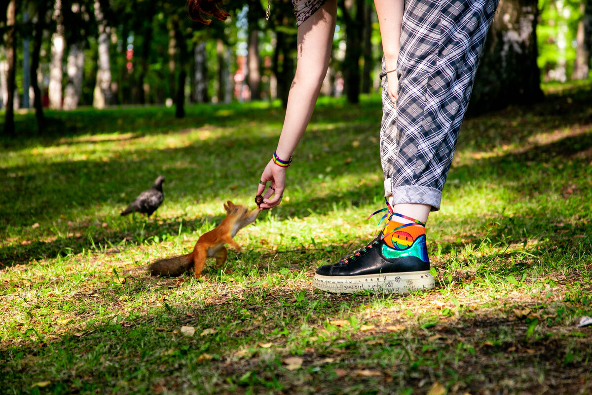 фото с сайта https://unsplash.com/