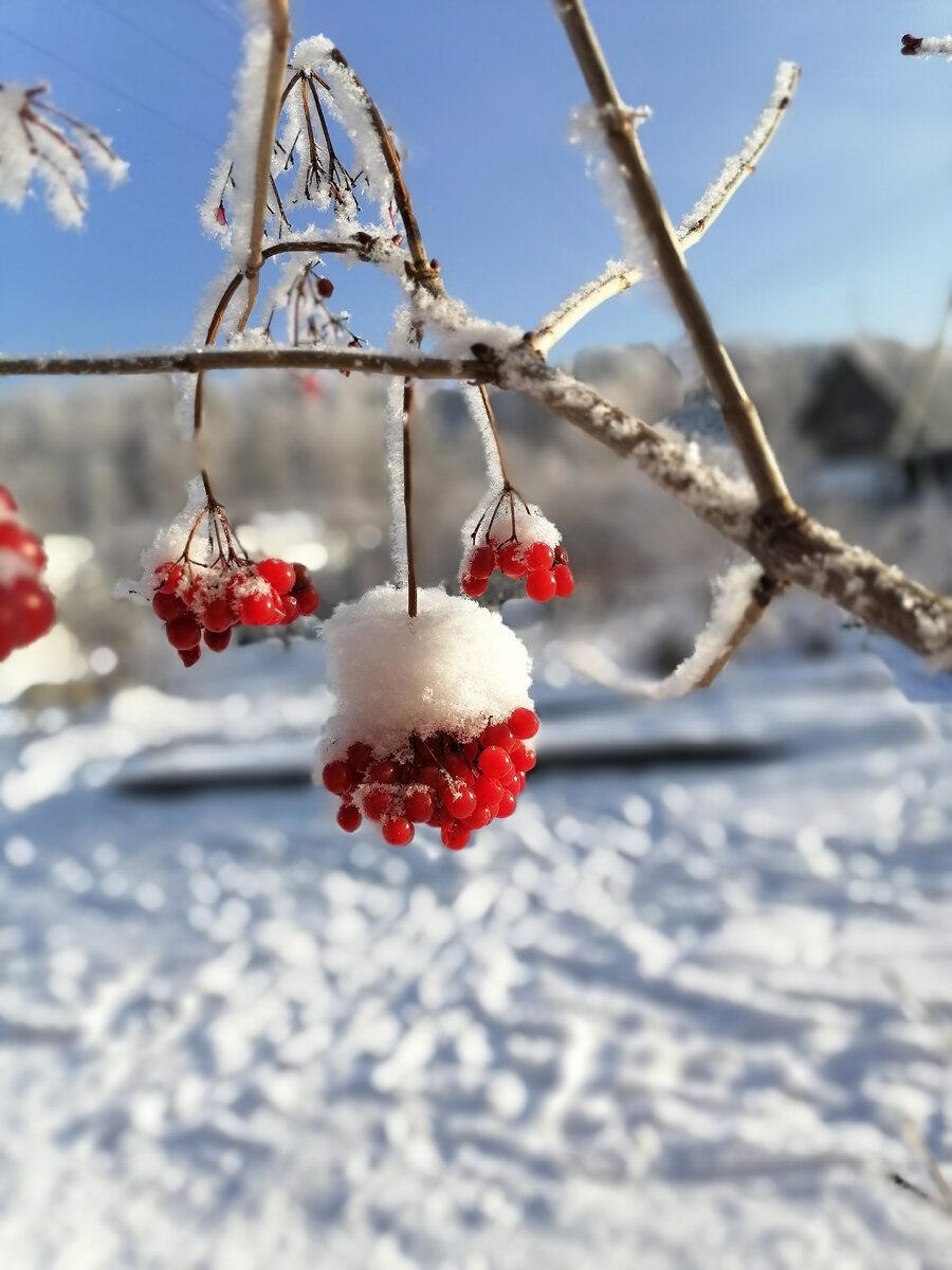 Фото из личного архива 