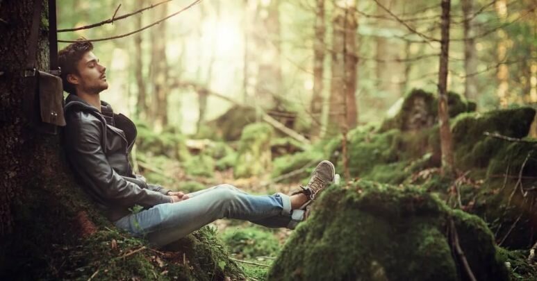 фото взято из открытых источников Яндекса 