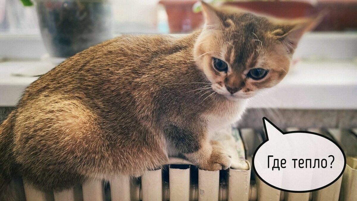     Аварию на теплотрассе в переулке Газетном в Ростове, в результате которой без горячей воды и тепла остались жильцы десятков домов, удалось устранить только поздно вечером, сообщили в Ростовских тепловых сетях.