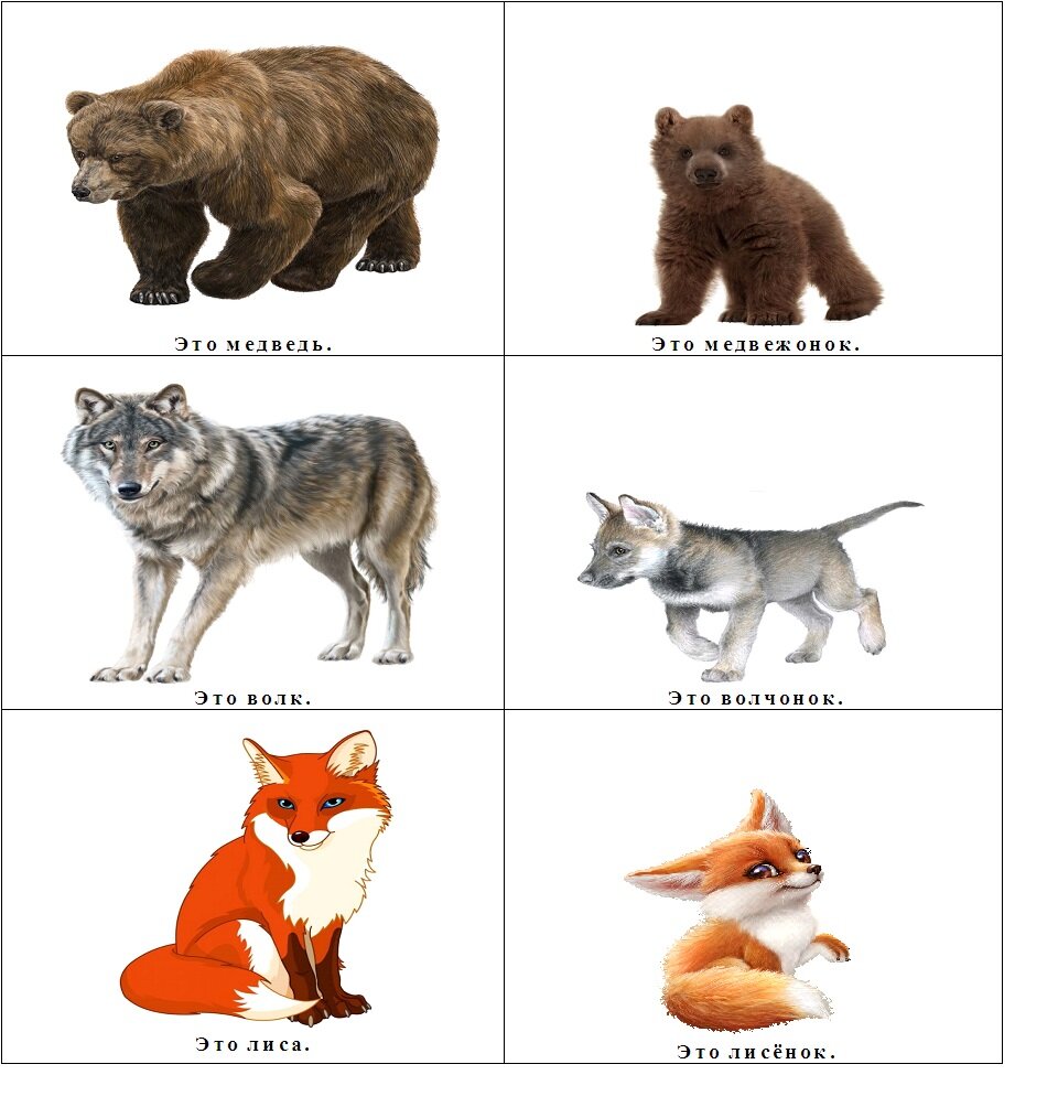 Карточки Домана на тему «Животные и их детеныши»