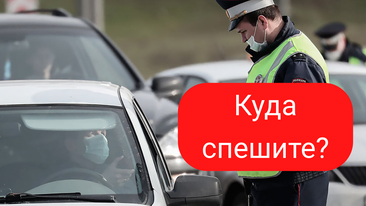 Вопросы инспектору. Дубасова алина владимировна следователь тверь. Полномочия общественного экологического инспектора. Удостоверение инспектора дпс. Инспектор пдн открытка.