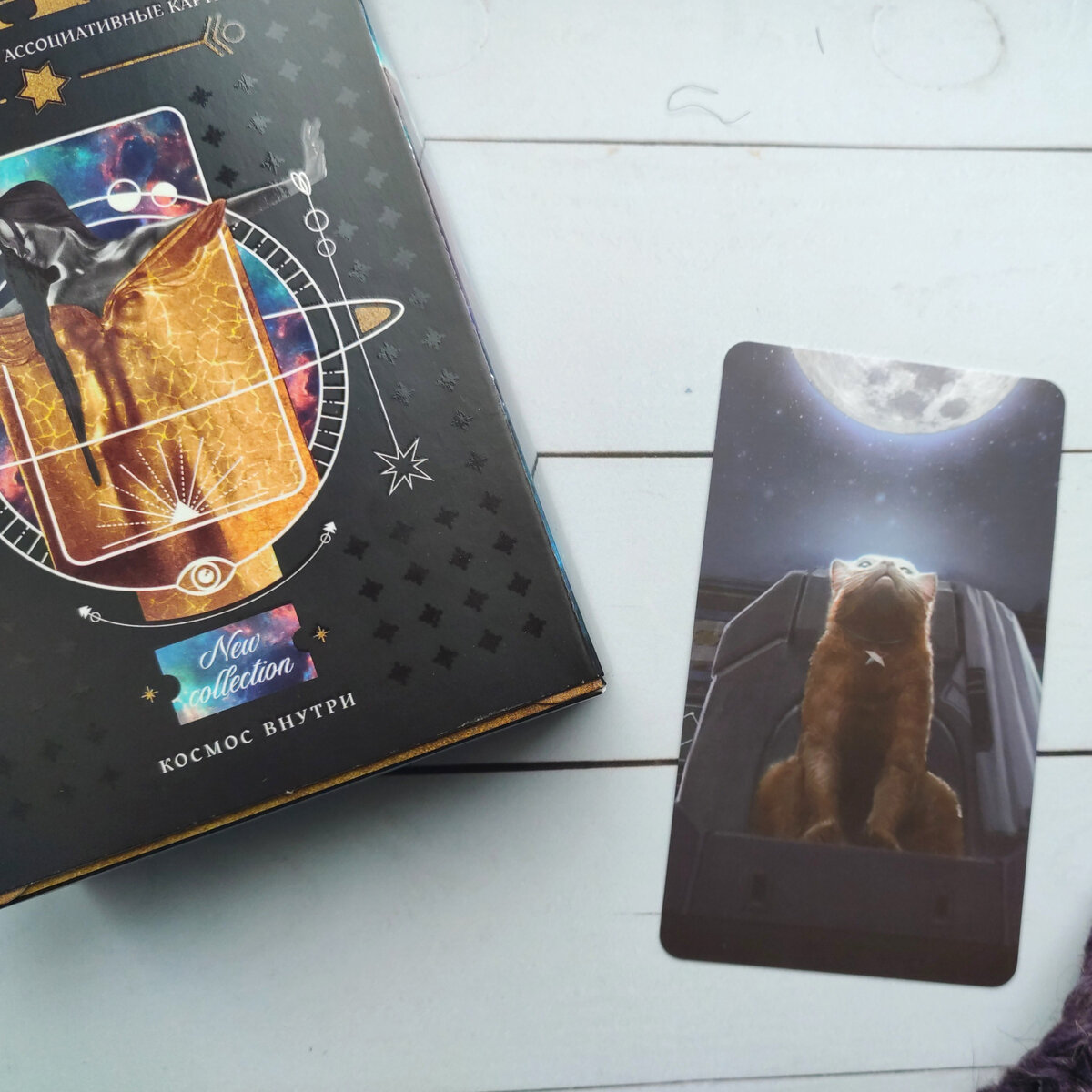 Фото не уменьшала в качестве против воров, можно увеличить, чтобы разглядеть котика