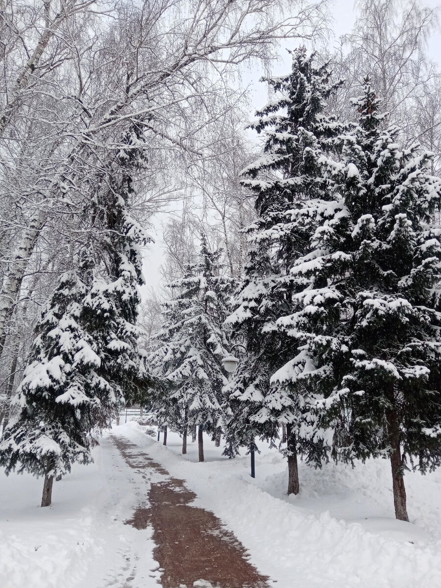 Парк в декабре