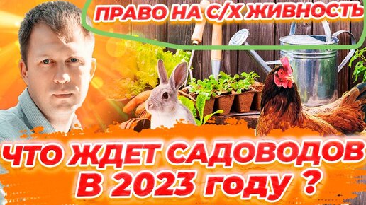 ЧТО ЖДЕТ САДОВОДОВ В 2023 ГОДУ? ИЗМЕНЕНИЯ ДЛЯ САДОВЫХ ТОВАРИЩЕСТВ!