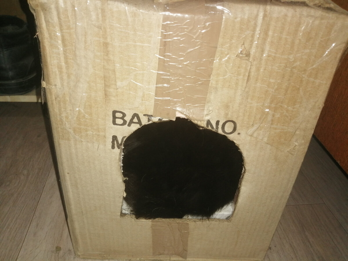 Спит свернувшись в клубок