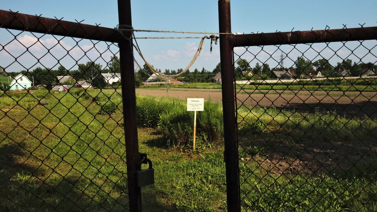    Земельный участок© РИА Новости / Алексей Даничев