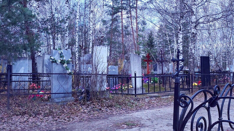     Больше сотни человек в Ростове пришли попрощаться с погибшими при крушении самолета в Непале земляками, сообщают СМИ.