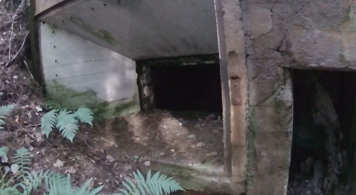 Остатки финских укреплений