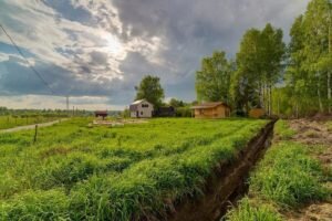    Фото: realthouse.ru Анна Норкина