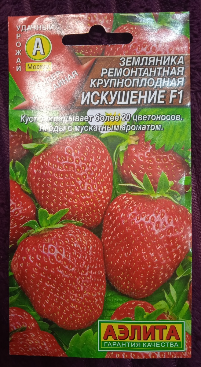 Искушение