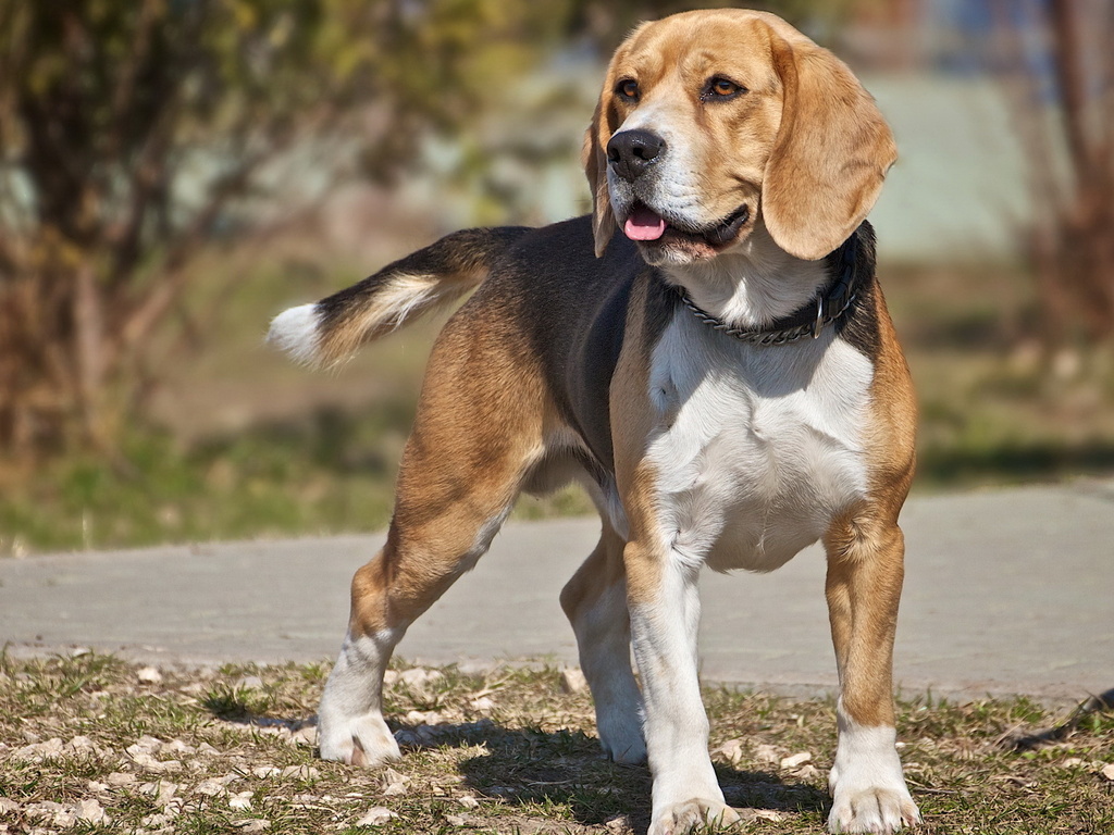 снимок взят с сайта placepic.ru