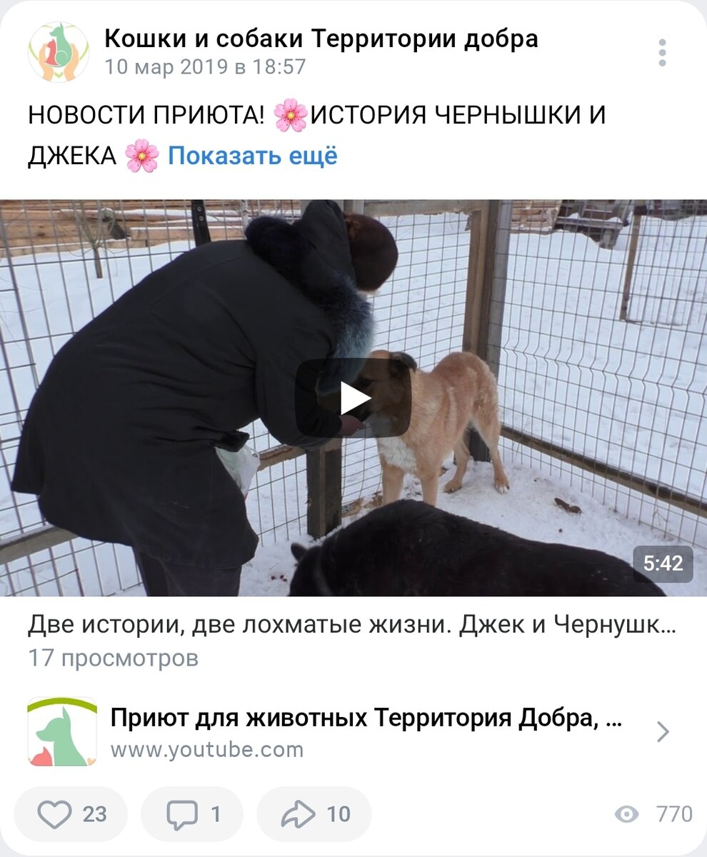 Первое видео о Джека, и одно из первых видео приюта на старом ещё канале. 