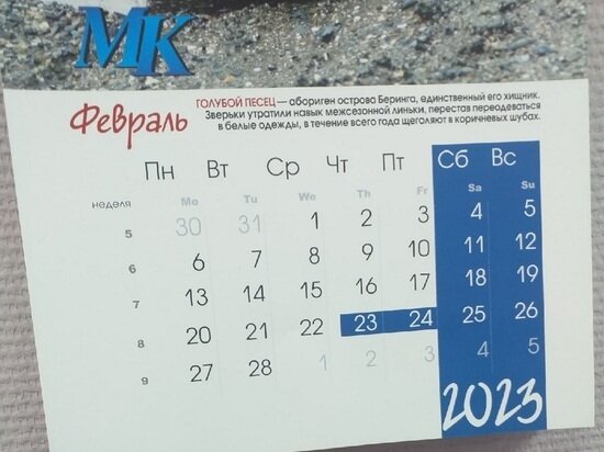     Фото: МК в Кузбассе