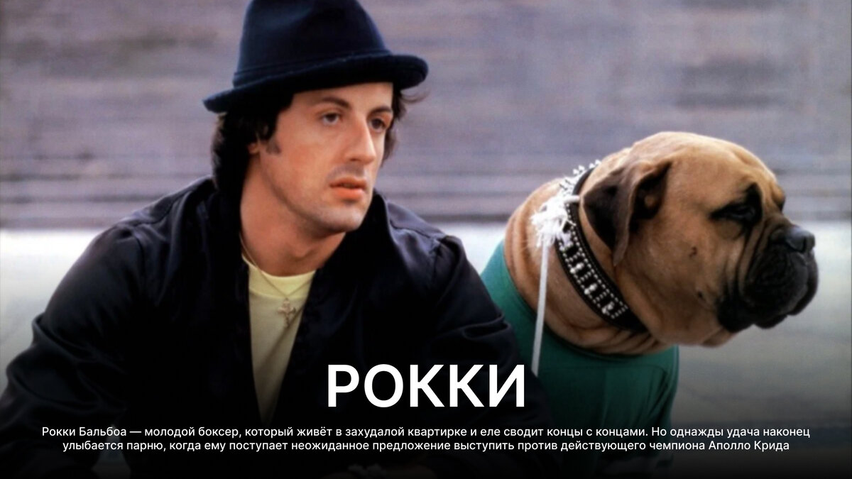 Рокки, 1976