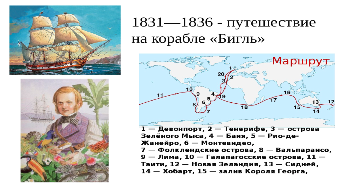 Корабль совершает кругосветное путешествие материальная точка. Корабль совершает кругосветное путешествие материальная точка. Лисянский кругосветное путешествие. Маршрут экспедиции фернана магеллана. Корабль совершает кругосветное путешествие материальная точка.