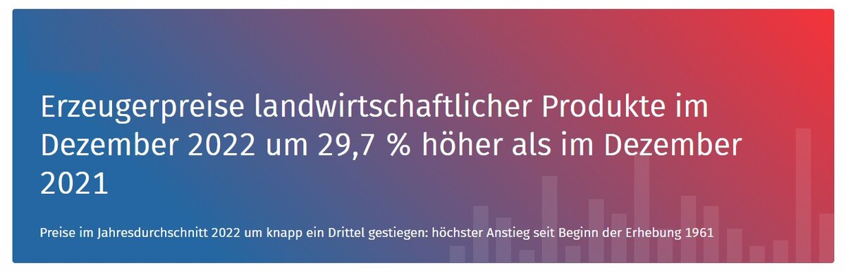 Скриншот сайта destatis.de