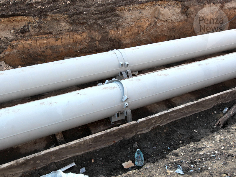    © Фото из архива ИА «PenzaNews»