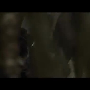 lazy_smart_crop_356x356