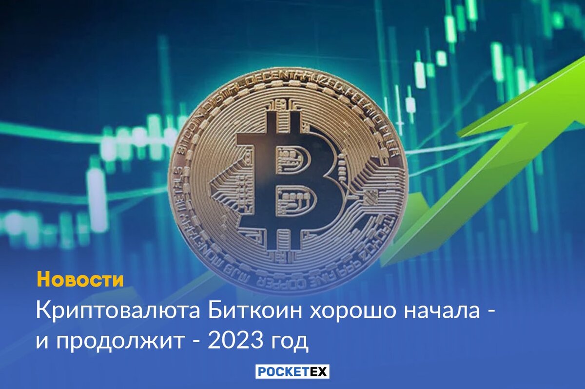 Халфинг биткоина. POWERPOINT dasturida ishlash 2023 год