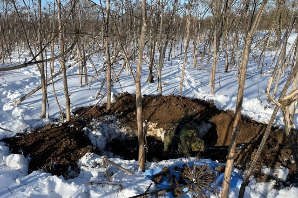    В Тверской области обнаружили останки двух солдат Красной армии