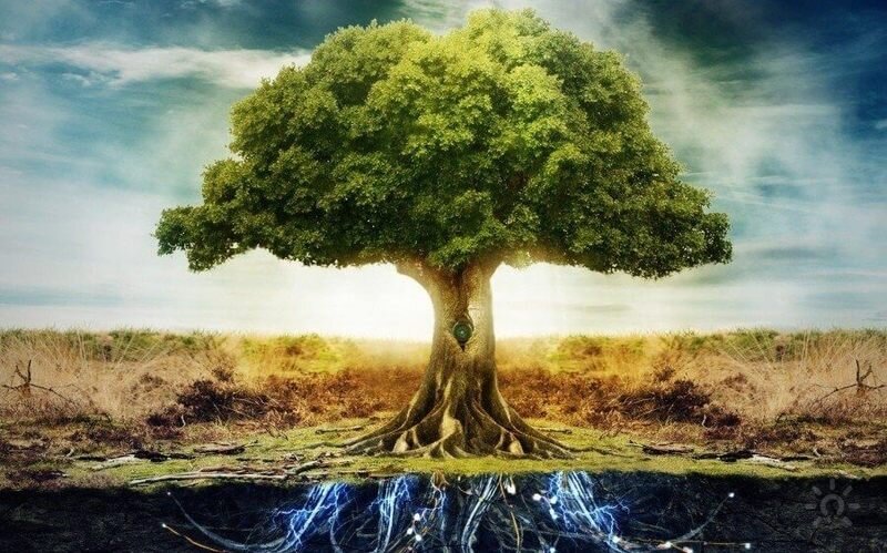 Из Интернета.