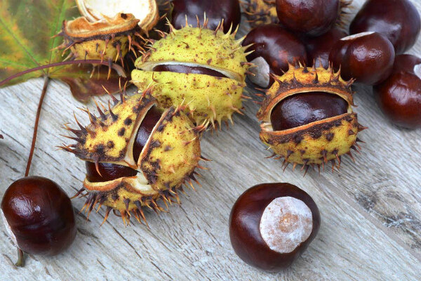 Источник: https://yandex.ru/images