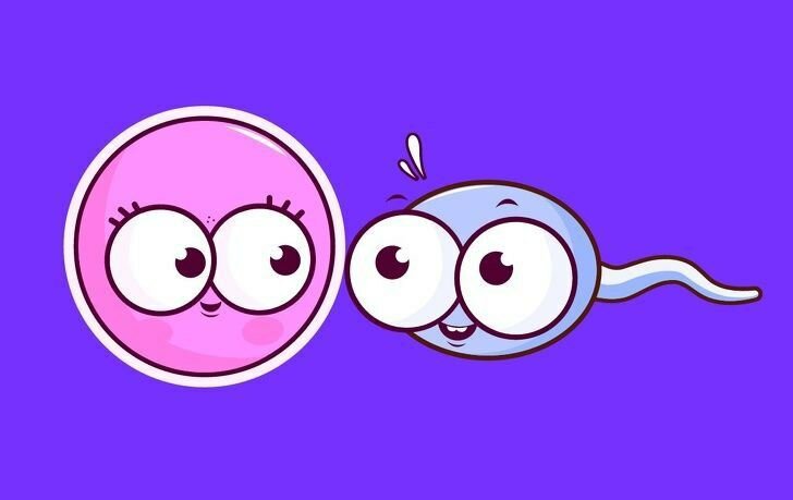 Очевидные и познавательные вещи