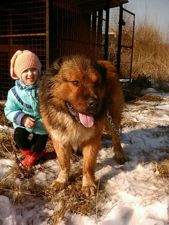Зидан приехал в МО к Ольге. "Вот такая весенняя погодка была на тот момент"