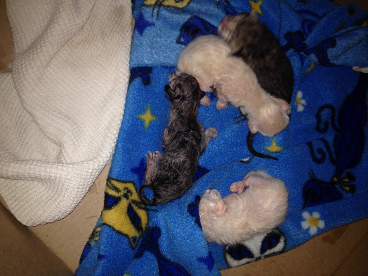 30 минут после рождения