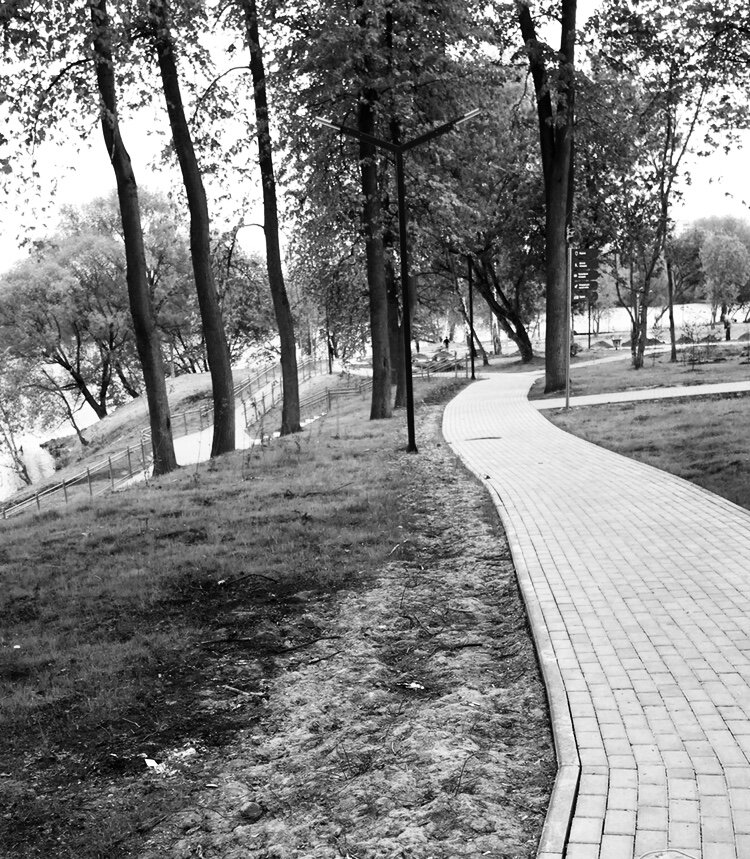 Фото дороги из личного архива)