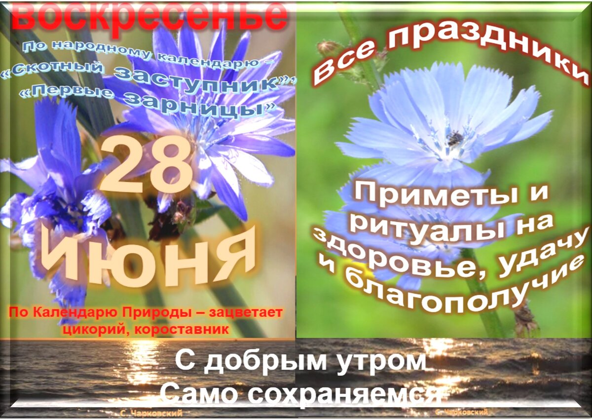 28 июня. 28 Июня праздник. Необычные праздники 28 июня.