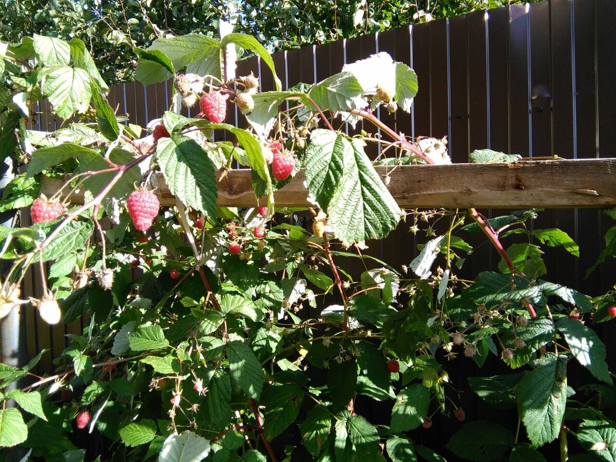 Ставьте "лайки" и подписывайтесь на мой канал!