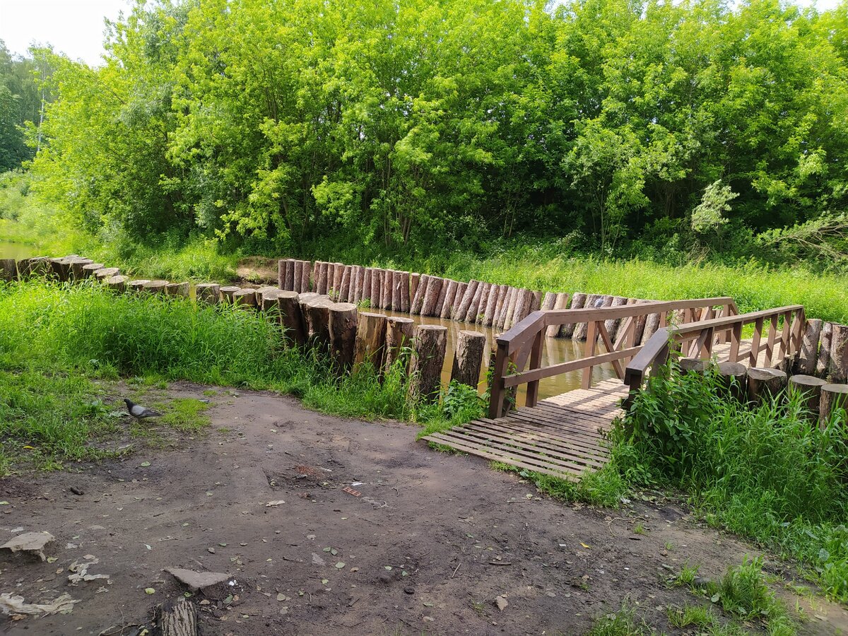 Речка в усадьбе Пехра Яковлевское