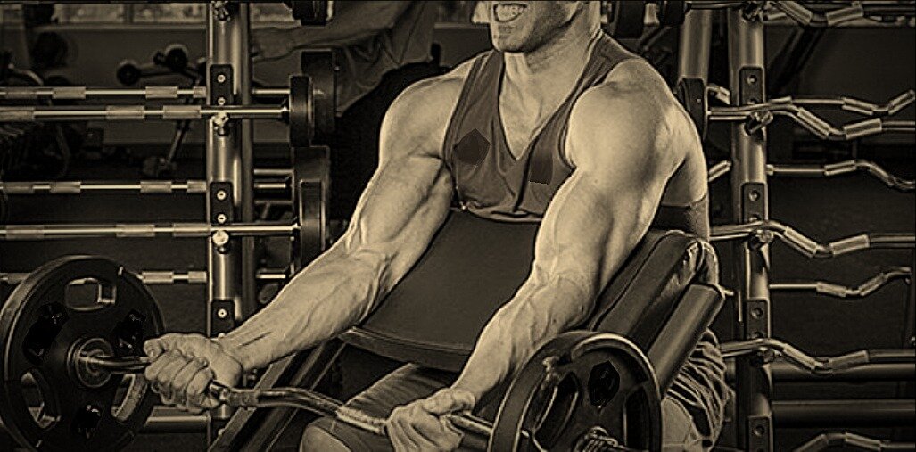 Тренировка бицепса