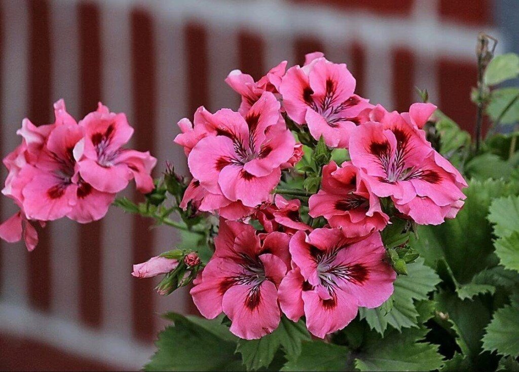 Источник: интернет. 