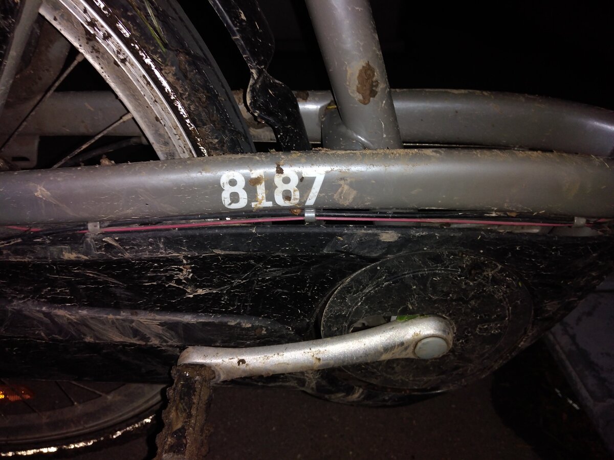 Это после лесного массива