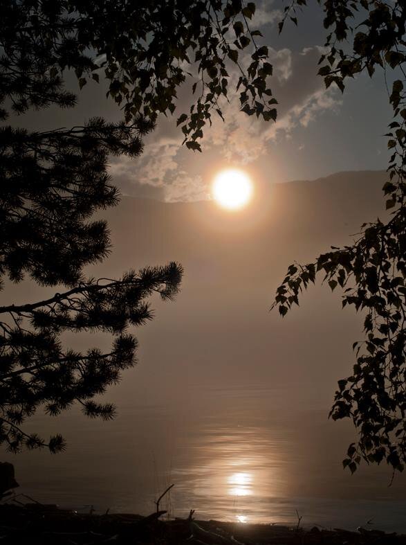 фото Сергей Усик