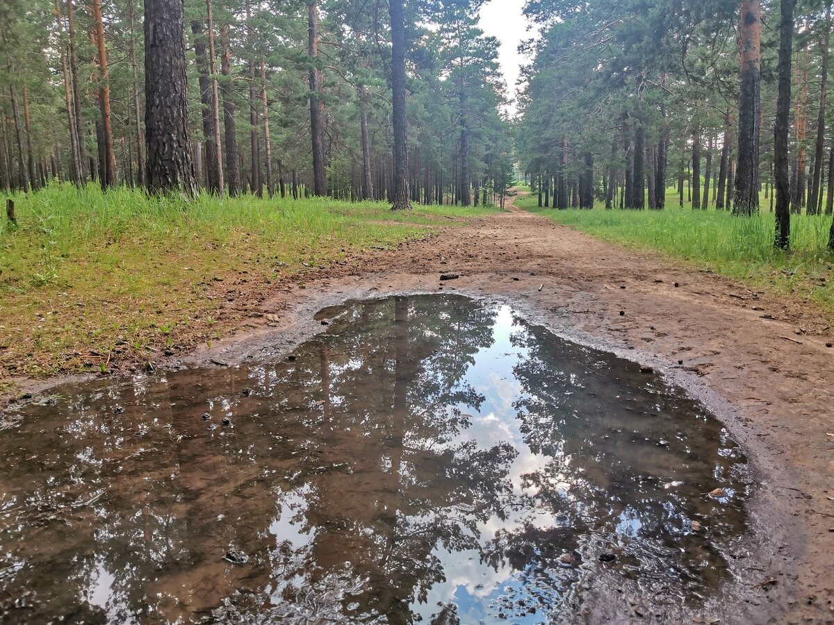 Услышать себя - лучшее, что она могла сделать